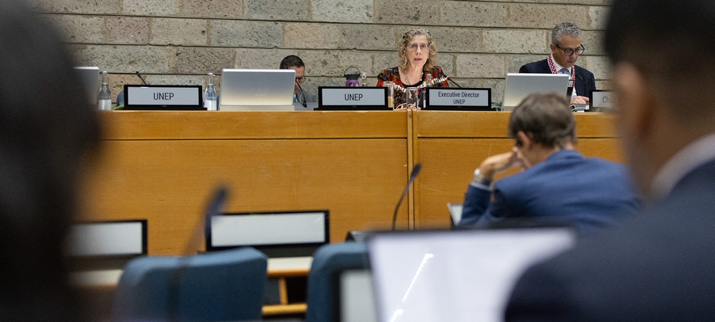 Три месяца интенсивной экологической дипломатии Photo by Josephat Kariuki / UNEP