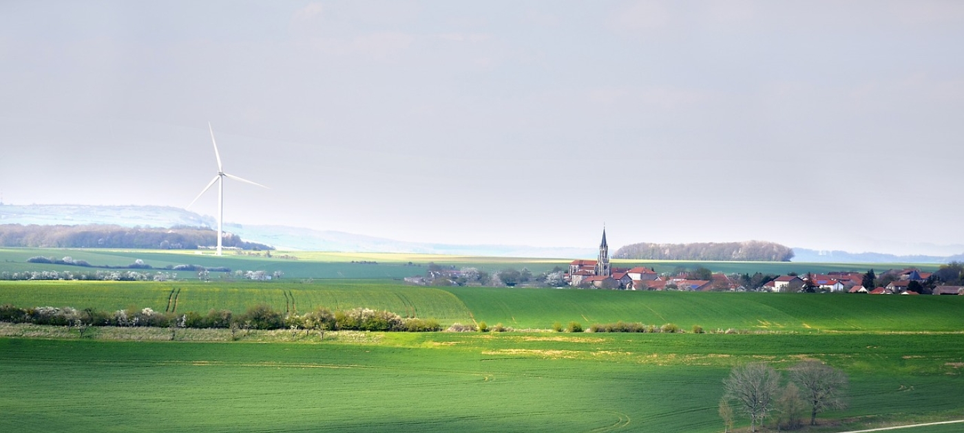 Soluções baseadas na natureza podem gerar até 32 milhões de novos empregos até 2030, mas é necessário investir em habilidades Photo credit: Pixabay