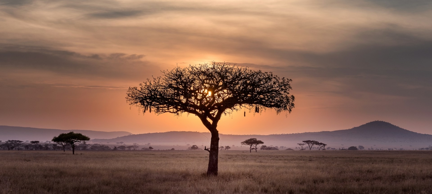 Credit: Unsplash/Hu Chen
