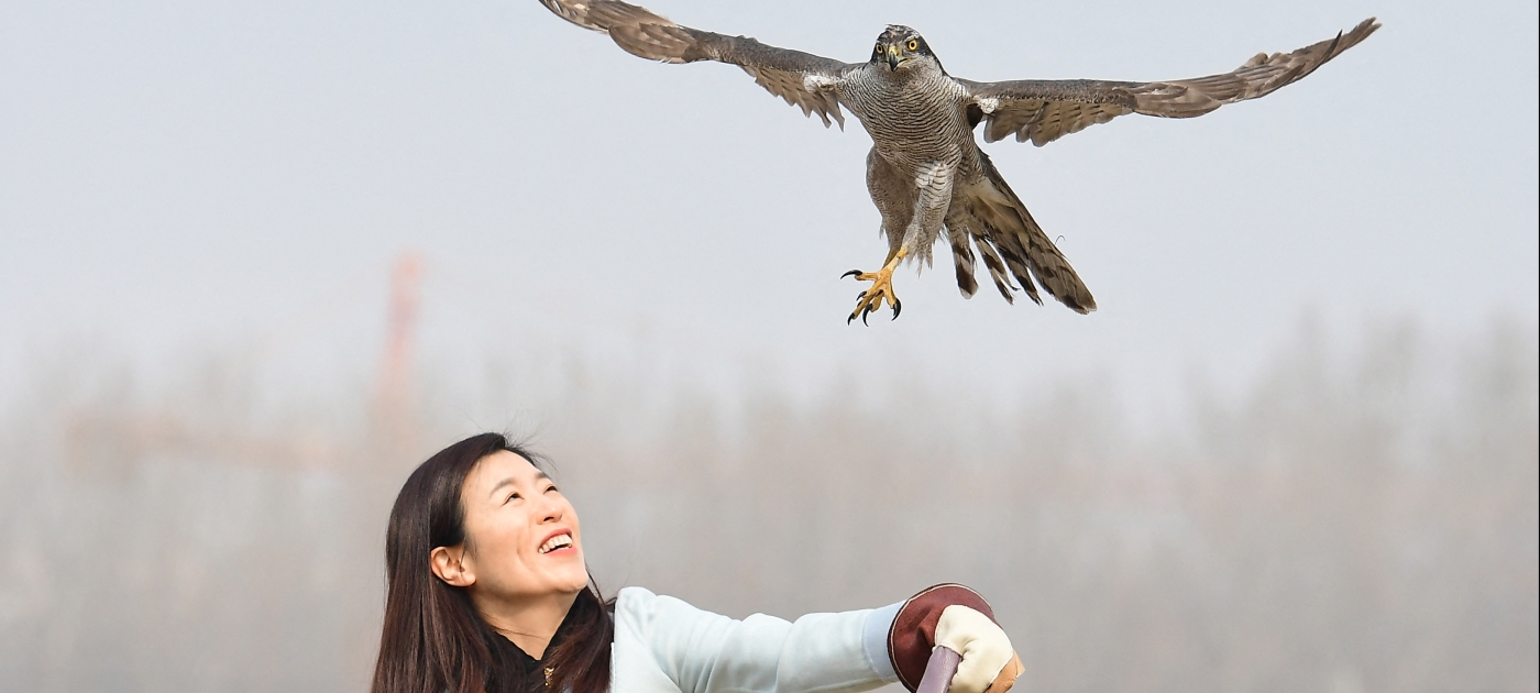 How the world can tackle the yawning gender gap in the sciences Credit: Xinhua via AFP/Yang Qing