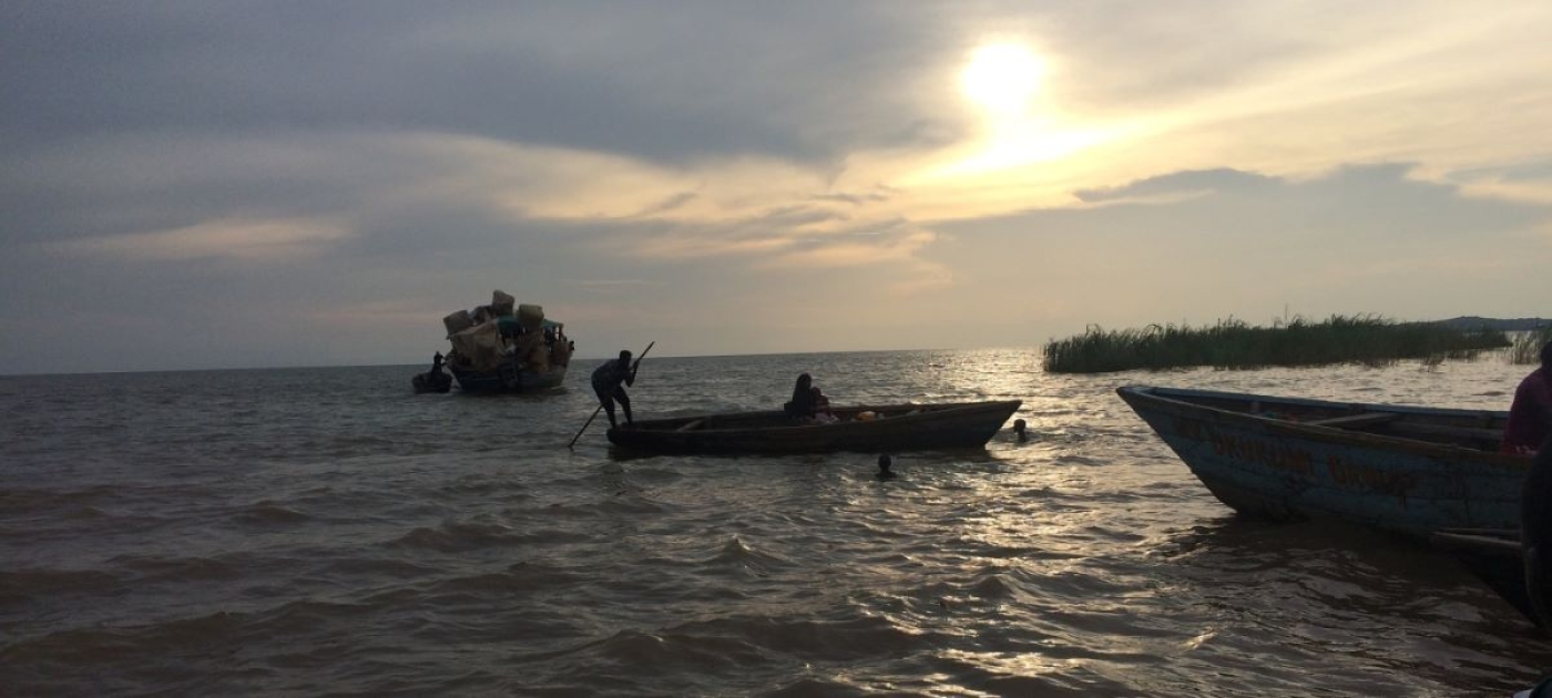 Lake Tanganyika Basin countries launch initiative to protect biodiversity, halt land degradation Ellyswema/Wikimedia Commons