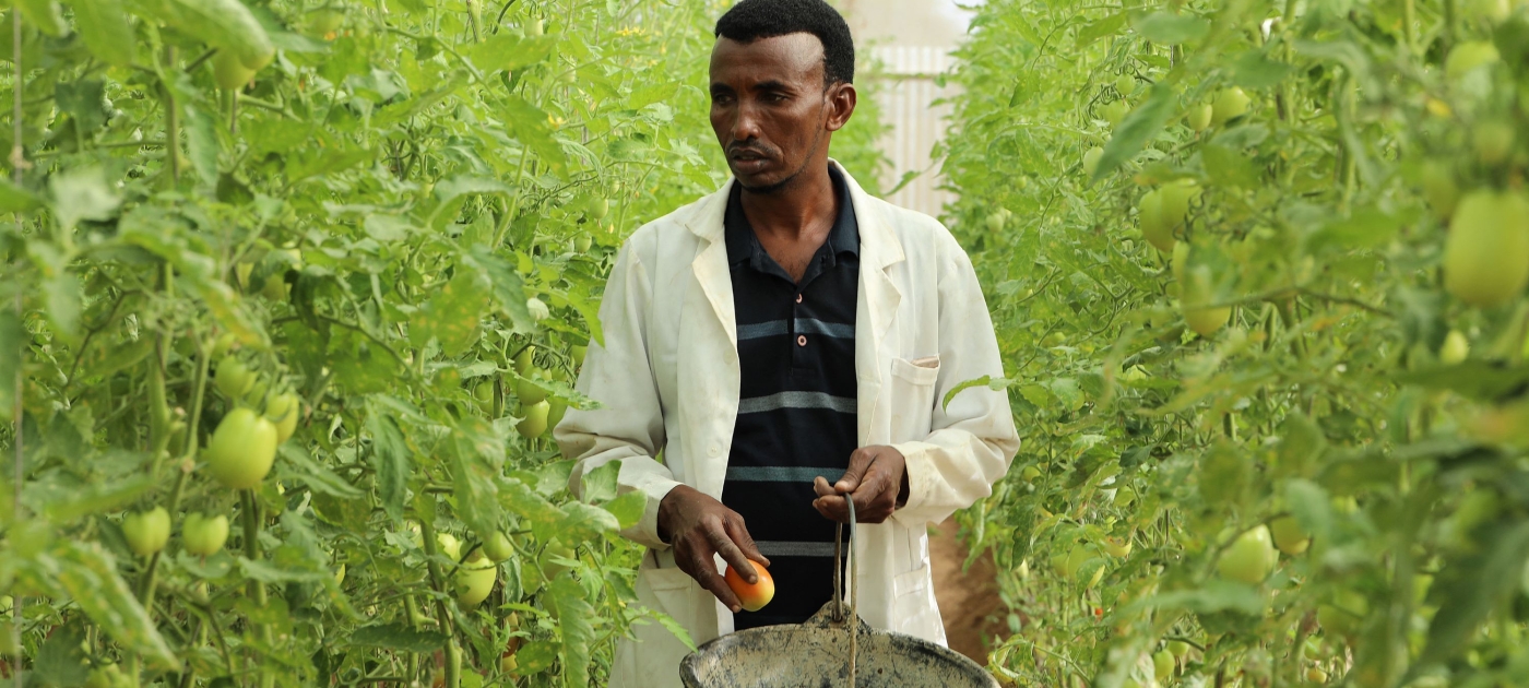 With rainwater tanks and solar-powered pumps, Somalia aims to take on climate change Credit: AFP Hassan Ali Elmi