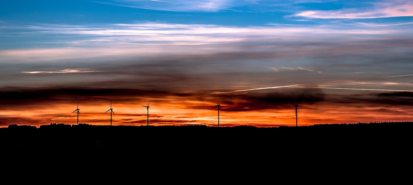 Nominations open for 2025 Champions of the Earth award with a focus on climate action Pixabay/Myriams-Fotos