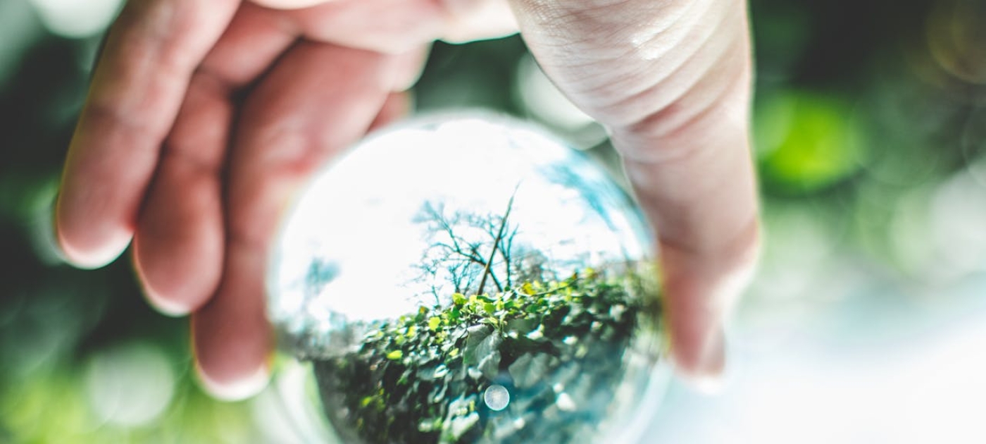 How training in green skills could help turn the tide against plastic pollution Photo by Pexels/Mac Mullins