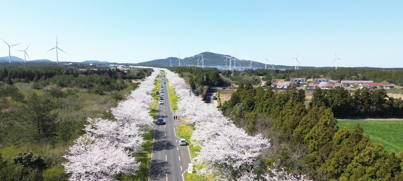How one Korean province is aiming to make plastic pollution history Credit: UNEP/Artan Jama