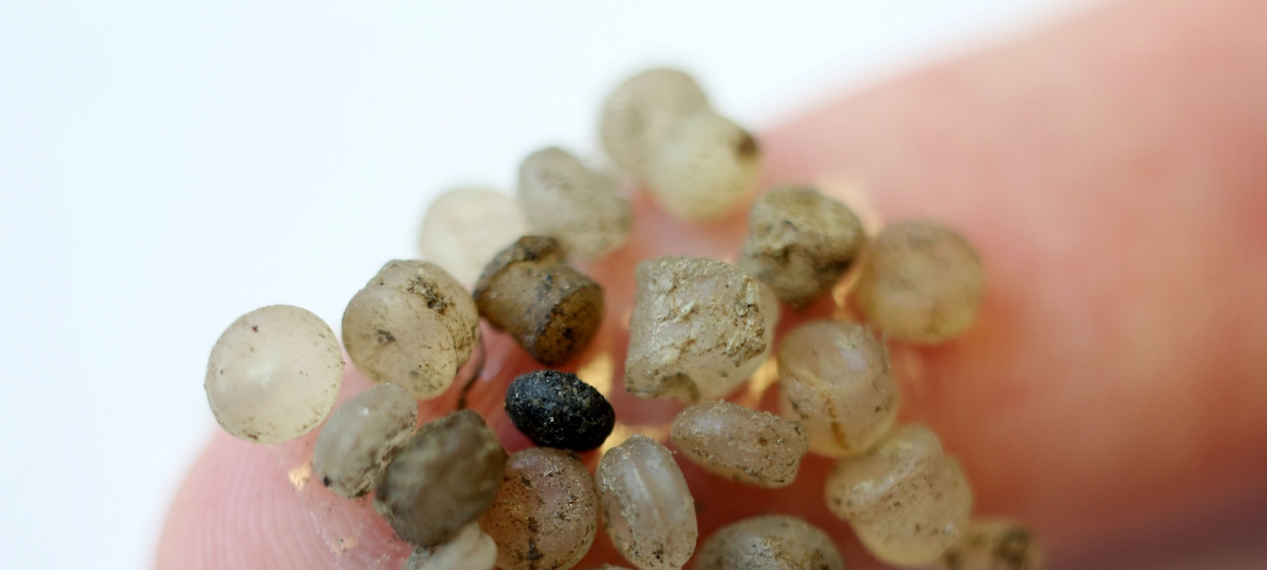 Everything you should know about microplastics Credit: dpa Picture-Alliance via AFP/Bernd Wustneck