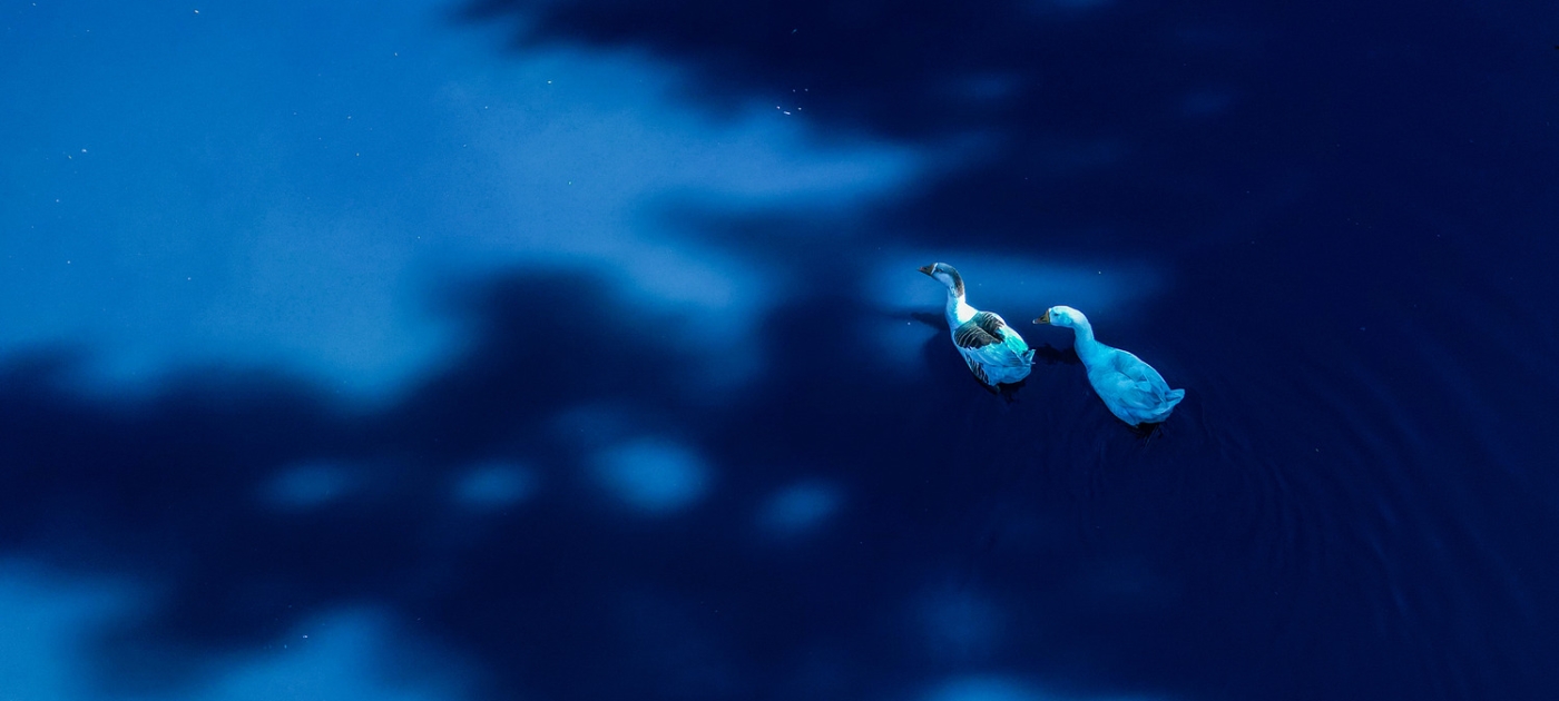 How a global agreement is aiming to tame chemical pollution Photo by AFP/Nelson Almieda
