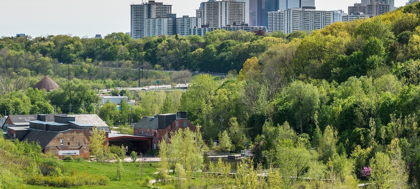 How Canada’s biggest city built an urban forest Photo by Matt Forsythe for the City of Toronto