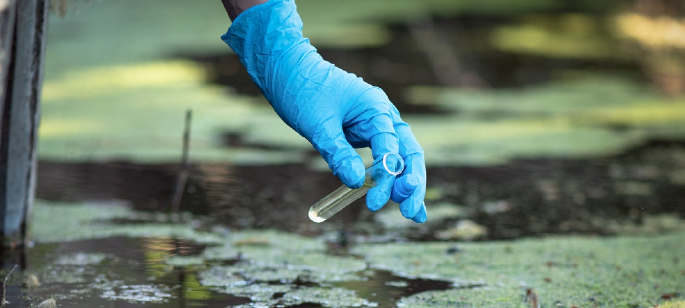 Global Framework on Chemicals Fund approves projects to protect health and environment in 11 countries Photo by iStock-HappyNati