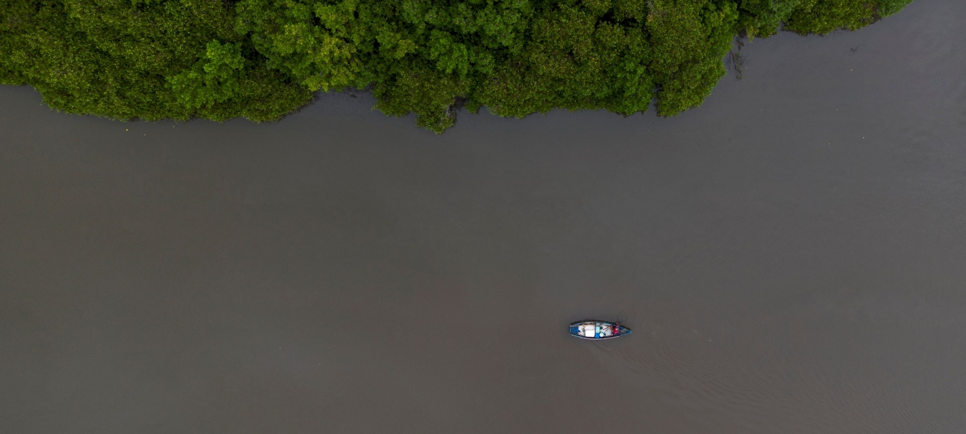 Facing climate storm, one town turns to mangroves for protection Credit: AFP