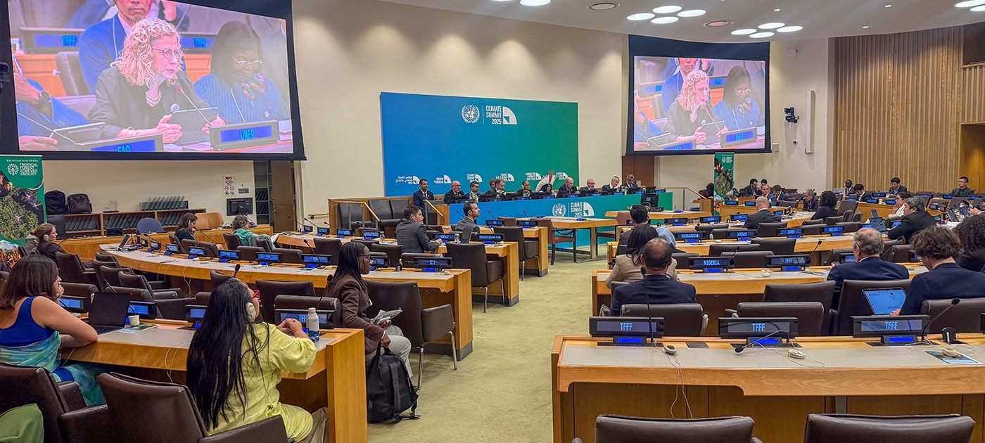 Innovative financing for the Amazon Photo by UNEP