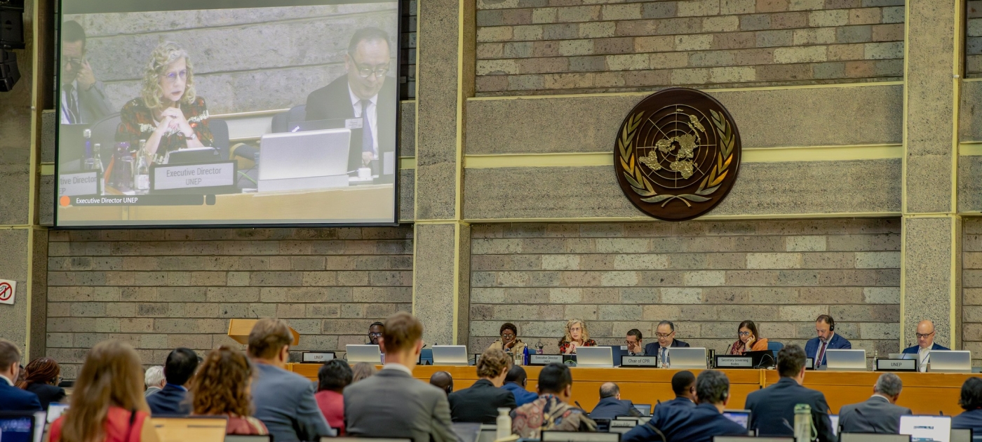 Shaping a more powerful UN Environment Assembly Photo by UNEP