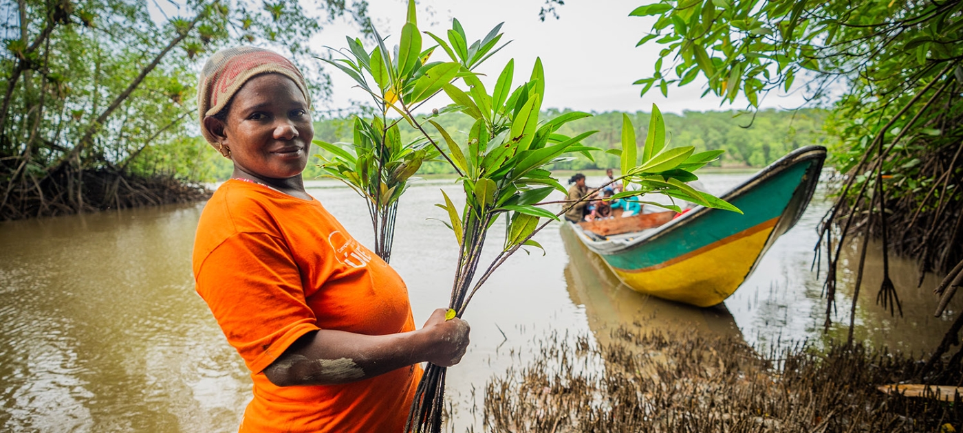 As climate fallout intensifies, Colombian towns turn to an old friend: mangroves Credit: UNEP CTCN/Miranda Riki Tasker