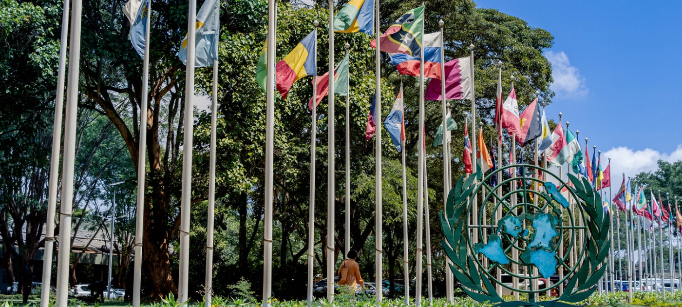 Committee of Permanent Representatives Subcommittee – Executive Director statement Credit: UNEP