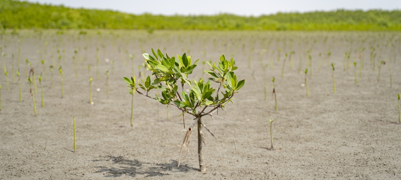 Photo credit: Duncan Moore/UNEP