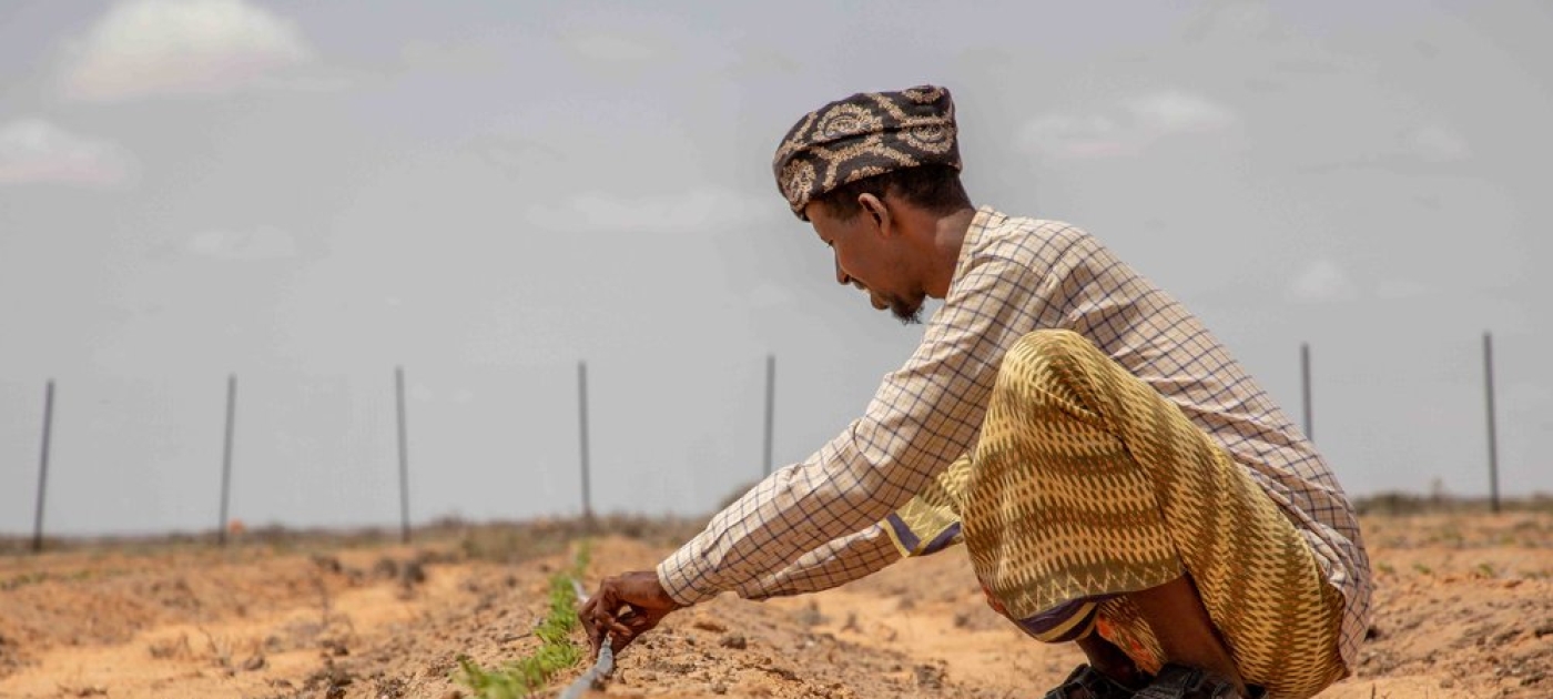 German-backed climate action in Somalia offers lessons ahead of Berlin Climate and Security Conference Credit: Spotlight, IOM 2023