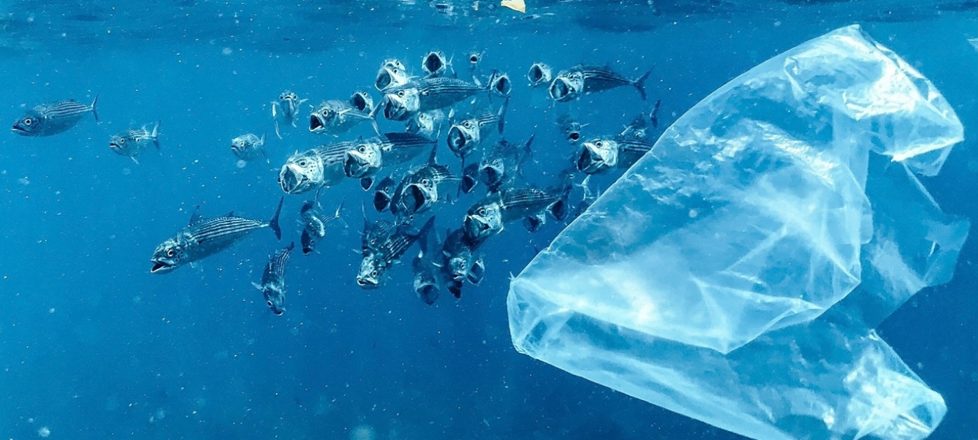 Countries gather in Brazil at the Inaugural Plastic Reboot Annual Conference to advance circular solutions, cut plastic pollution Photo credit: Naja Bertolt Jensen on Unsplash