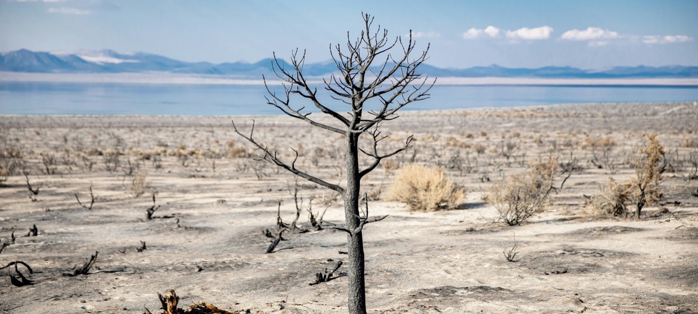 Adaptation Gap Report 2025 – Executive Director press statement Photo by Nikolay Maslov/ Unsplash