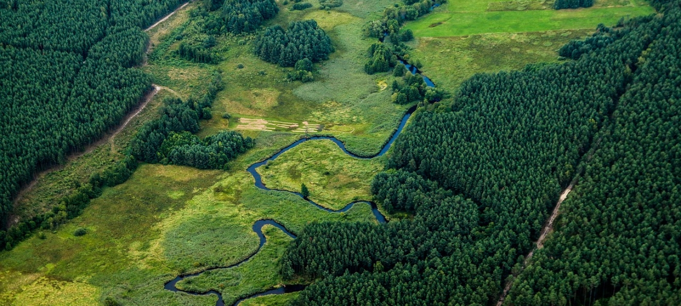 Triple investments in forests by 2030 to reap multiple benefits, says UN Photo credit: Pixabay