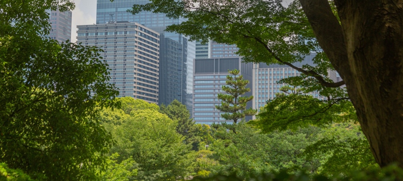 UNEP launches $100 million programme to accelerate climate and nature action Photo credit: Unsplash