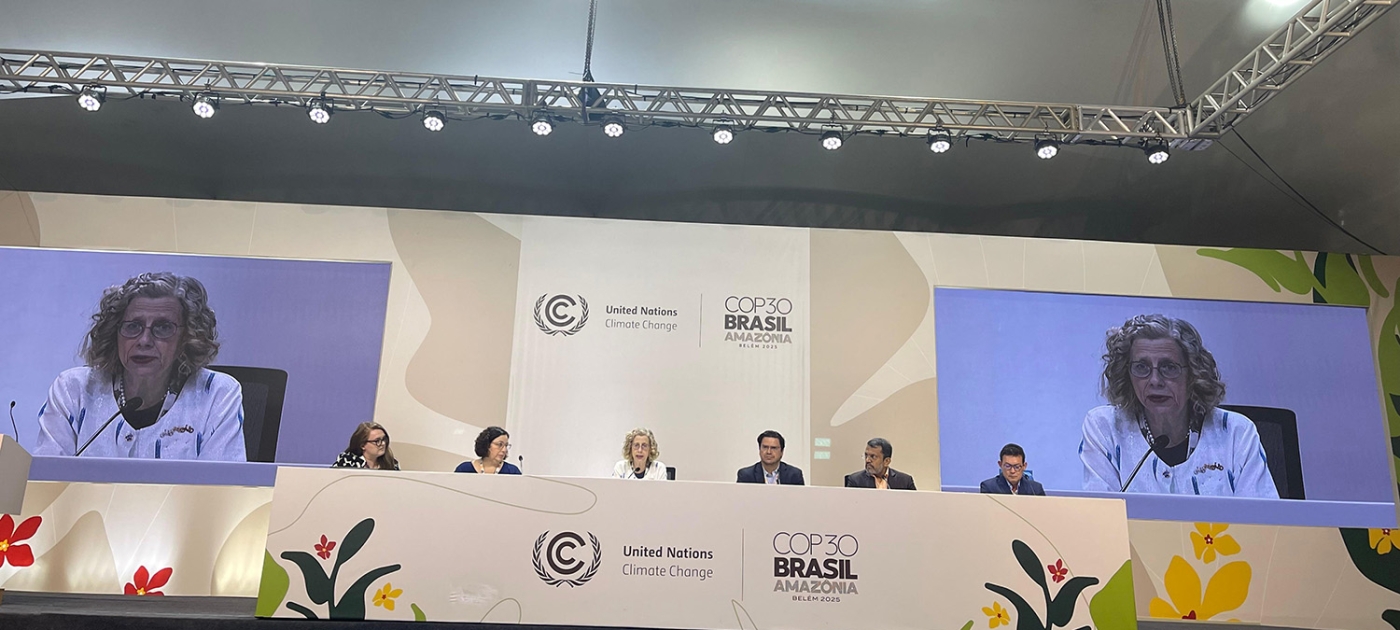 UNEP Executive Director press statement - launch of the Global Cooling Watch Report 2025 Photo by UNEP