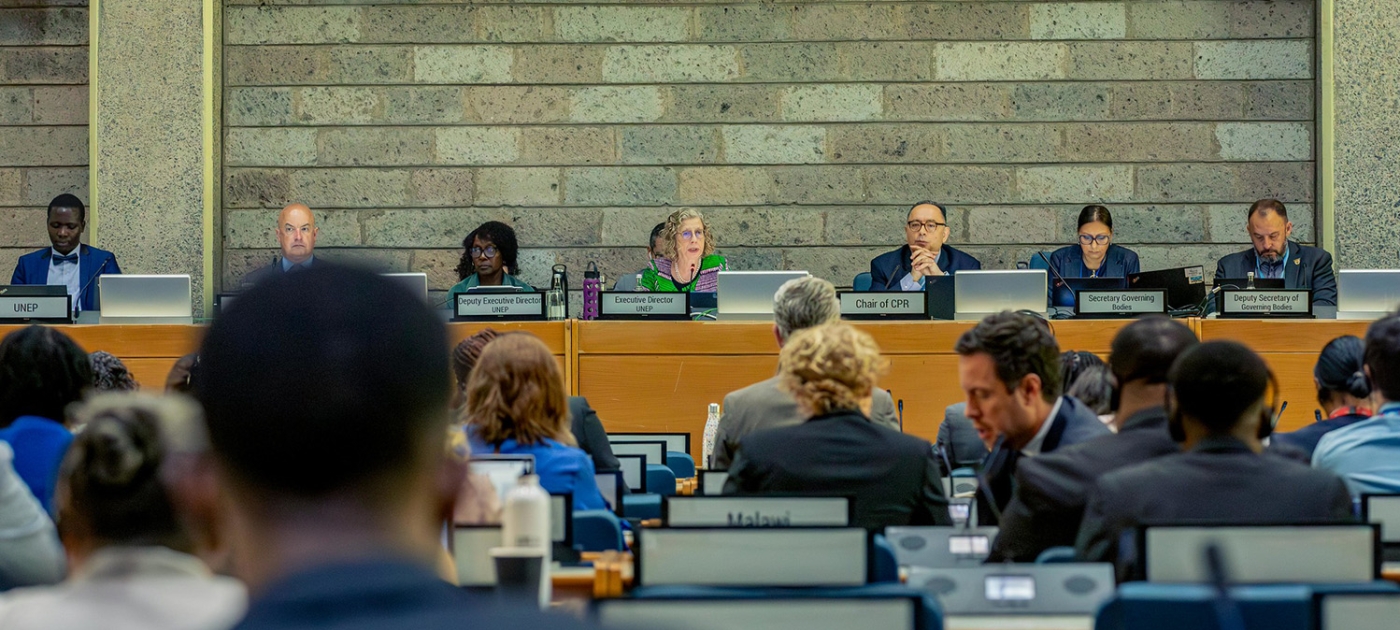 Preparing for a pivotal UN Environment Assembly Photo by UNEP