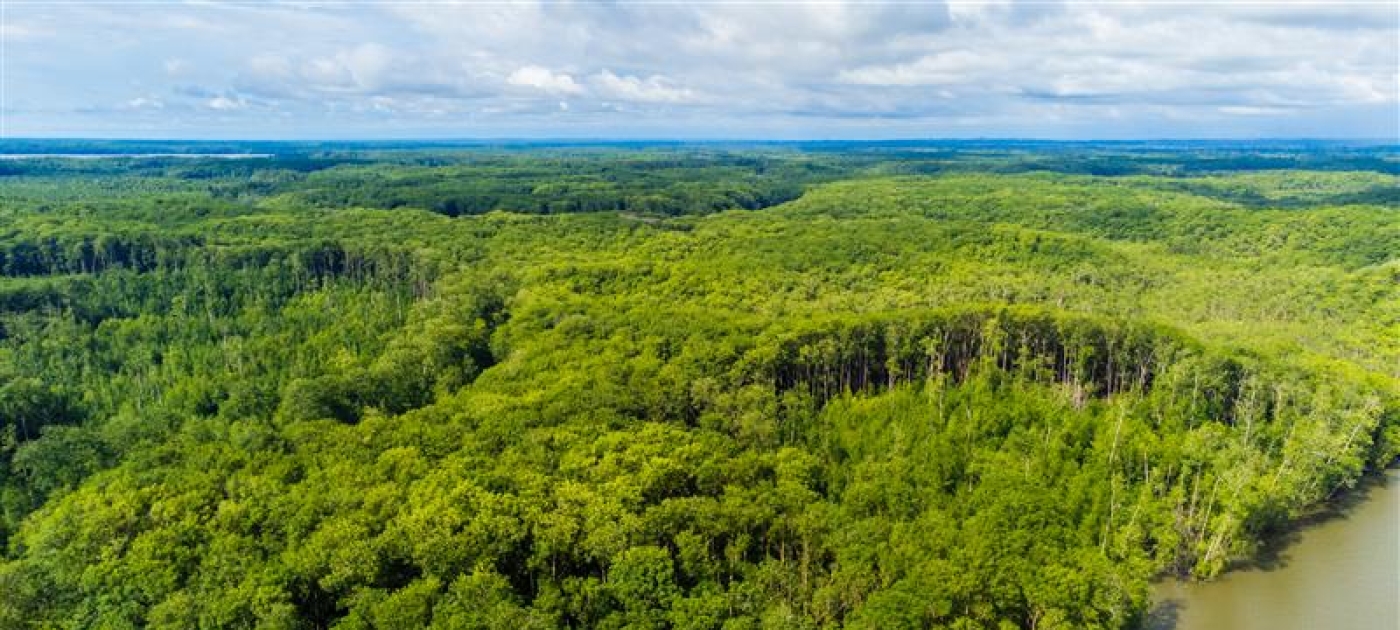 New paper explores practical steps toward integrated environmental action Credit: UNEP CTCN/Miranda Rikki Tasker