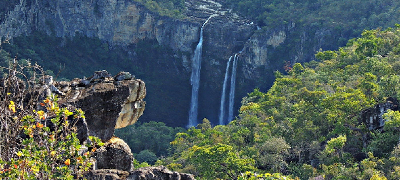 Brasil lança diagnóstico ambiental inédito na COP30 Aline Fernanda Antunes