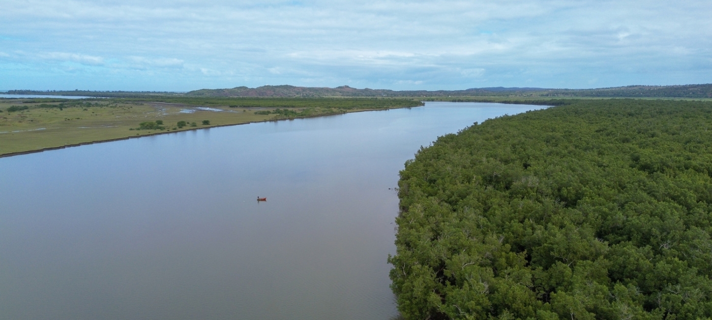 USD 52.8 million in new GEF support to boost UNEP-led environmental initiatives worldwide