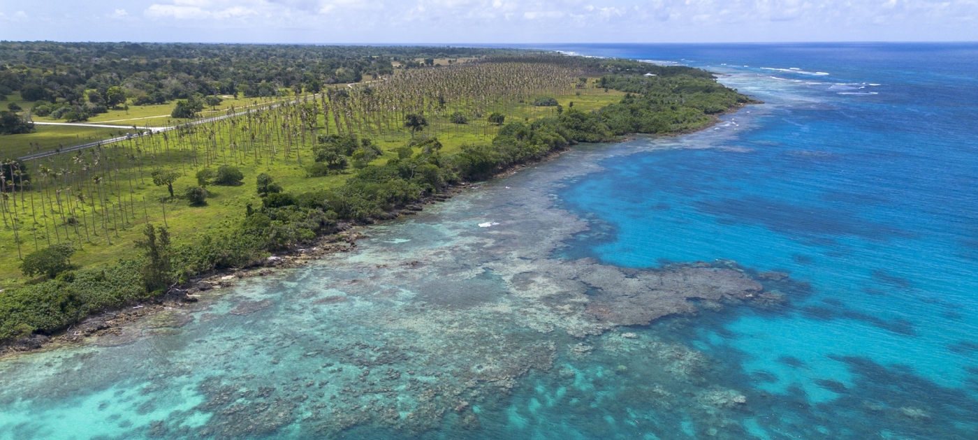 El galardón Campeones de la Tierra 2025 del PNUMA reconoce a cinco personas e iniciativas pioneras en la lucha contra el cambio climático Crédito de foto: PNUMA