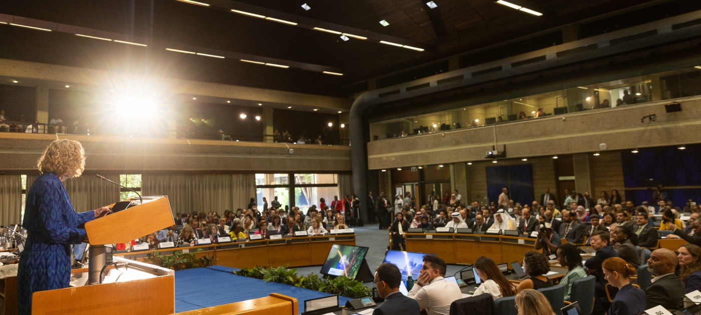United to deliver on Multilateral Environmental Agreements Photo by UNEP