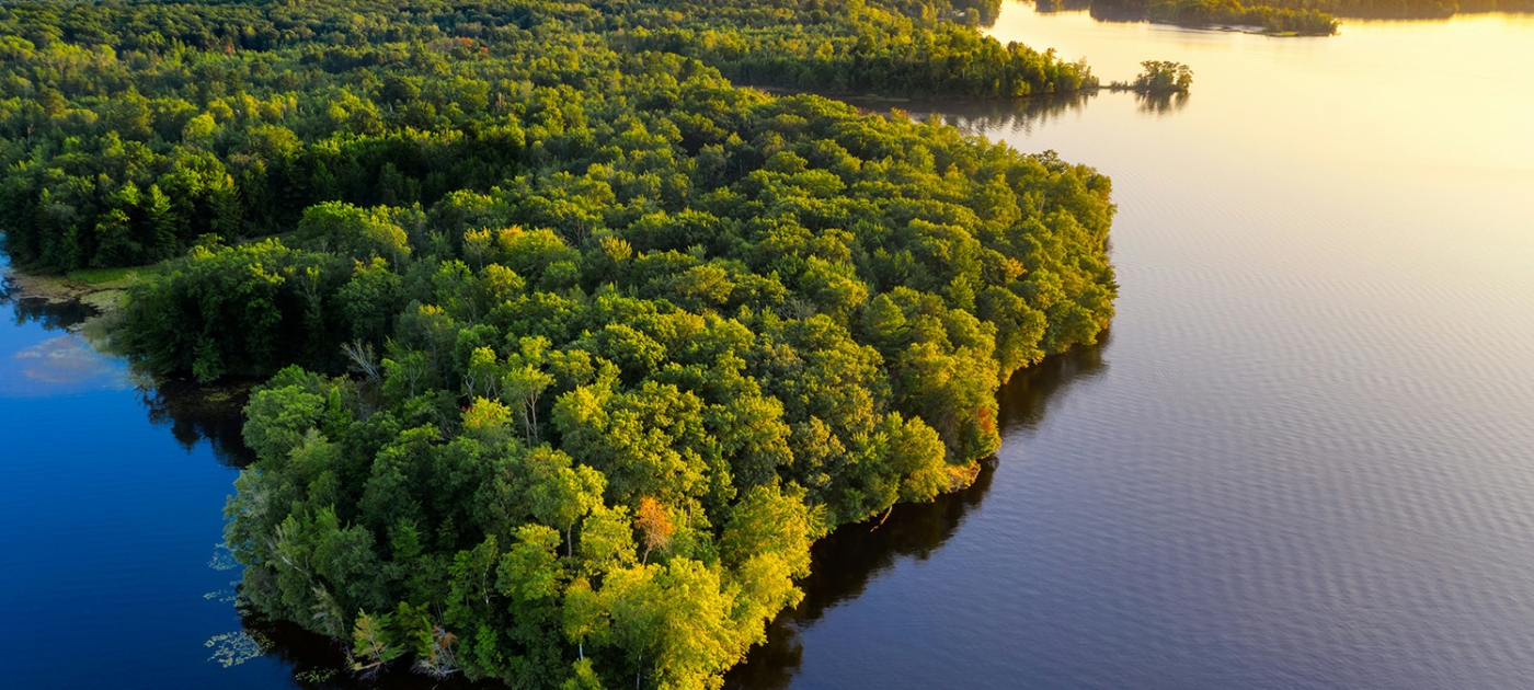 El instituto de investigación brasileño que utiliza tecnología de vanguardia para evitar la deforestación en el Amazonas Foto por Hoefler/Unspalsh