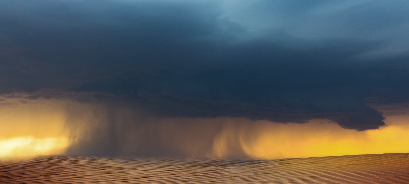Regional action needed to protect Uzbekistan from sand and dust storms, warns new UNEP report Photo credit: Pixabay