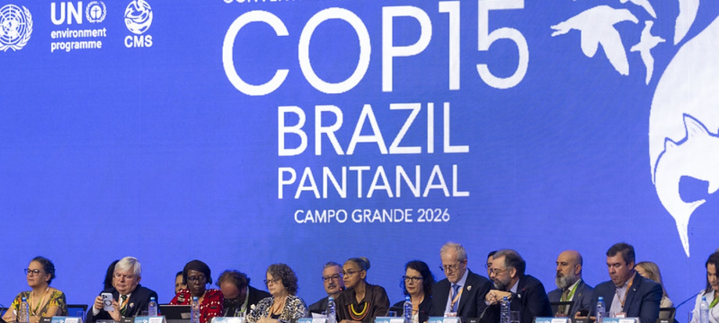 COP15 highlights critical role of multilateral cooperation for migratory wildlife Photo by UNEP