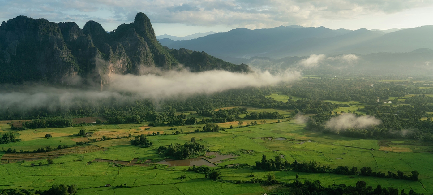 Where livelihoods meet the canopy: Communities restoring forests through enterprise Credit: Kalinskie Gilliam / Unsplash