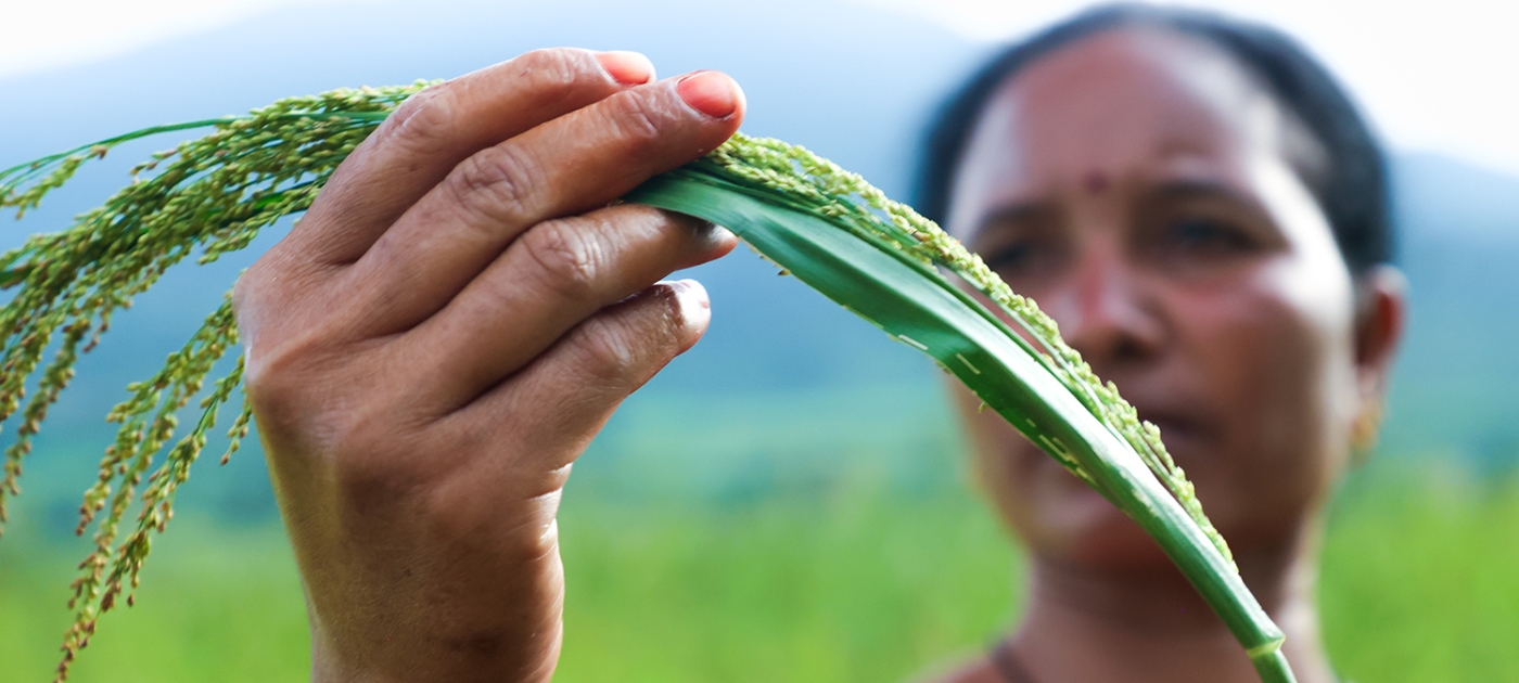 How natural farming is transforming food production in southern India Credit: Florian Fussstetter / UNEP
