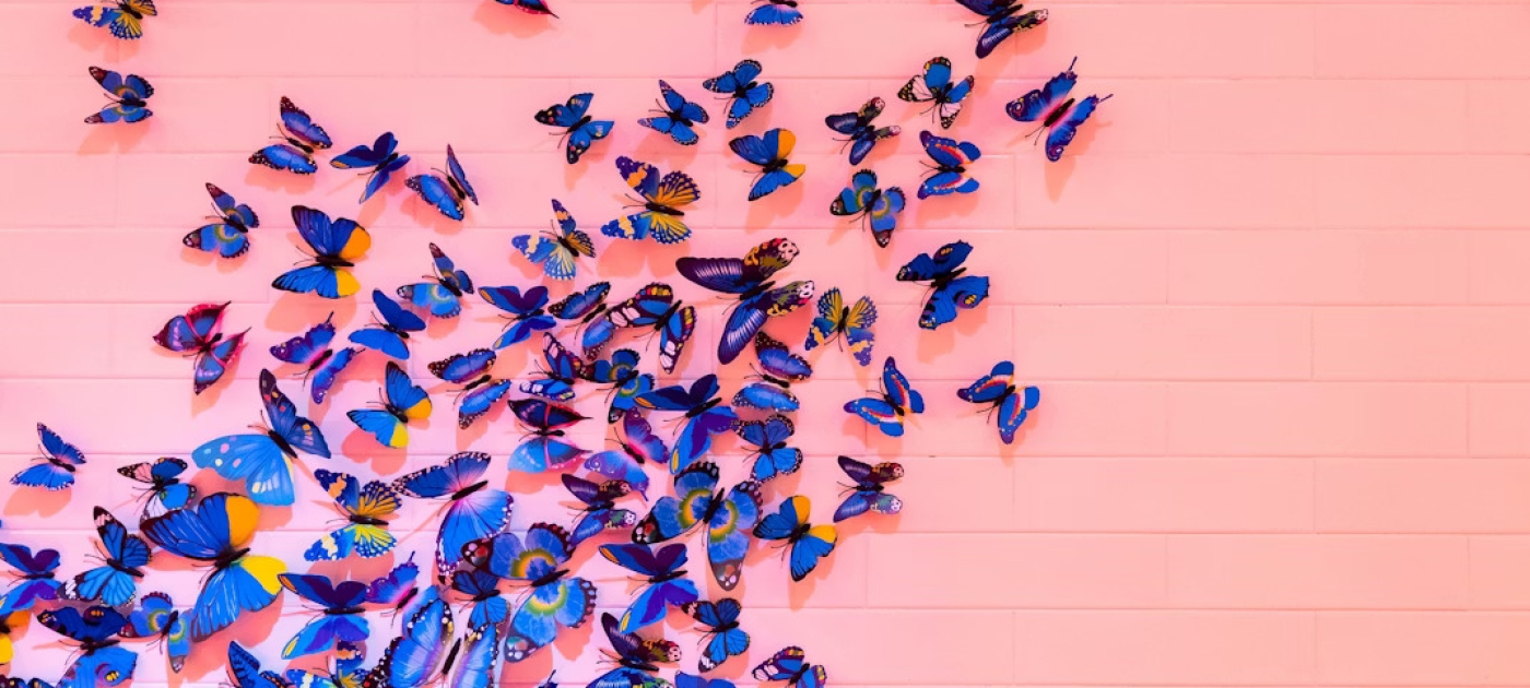 Here are five ways you can help heal the natural world Credit: Unsplash/DRZ