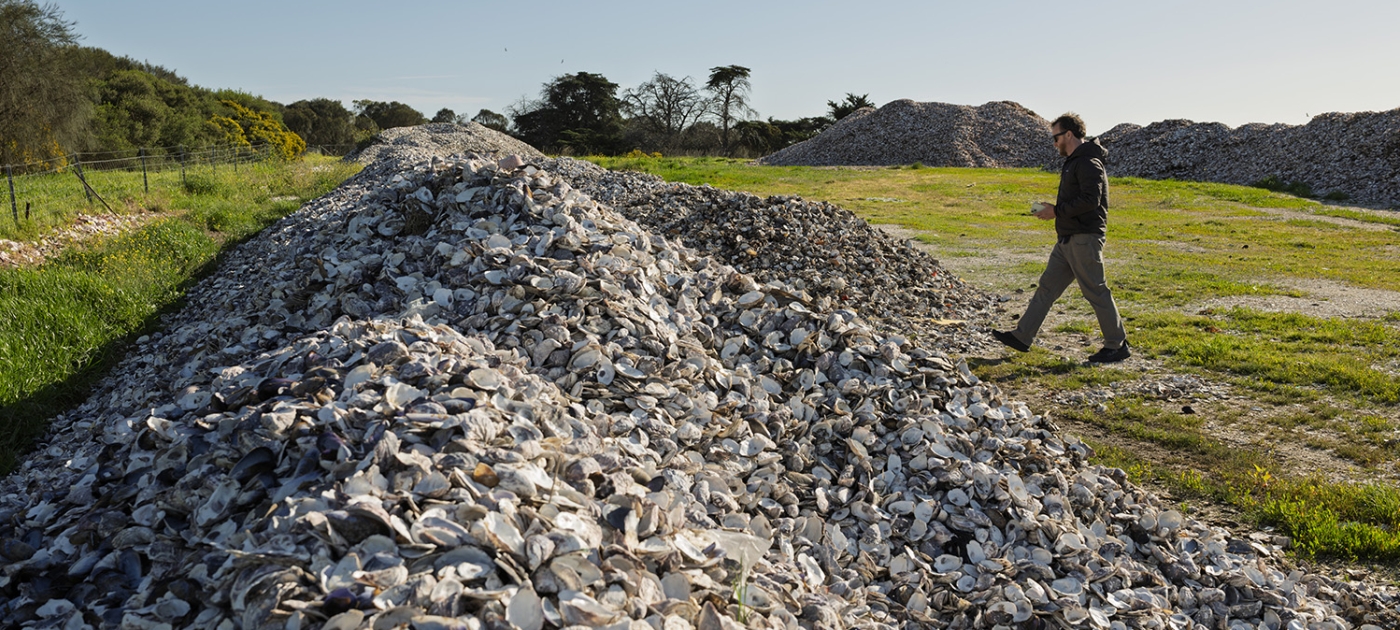 How recycled oyster shells are reviving Australia’s lost reefs Photo by Todd Brown / UNEP