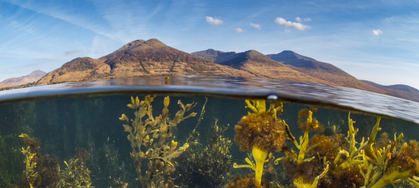 view of underwater sea and shore