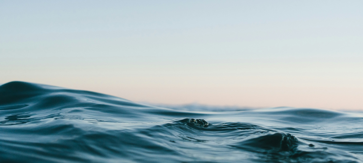 Cómo los acuerdos globales están salvando los mares del planeta Crédito: Matt Hardy / Unsplash