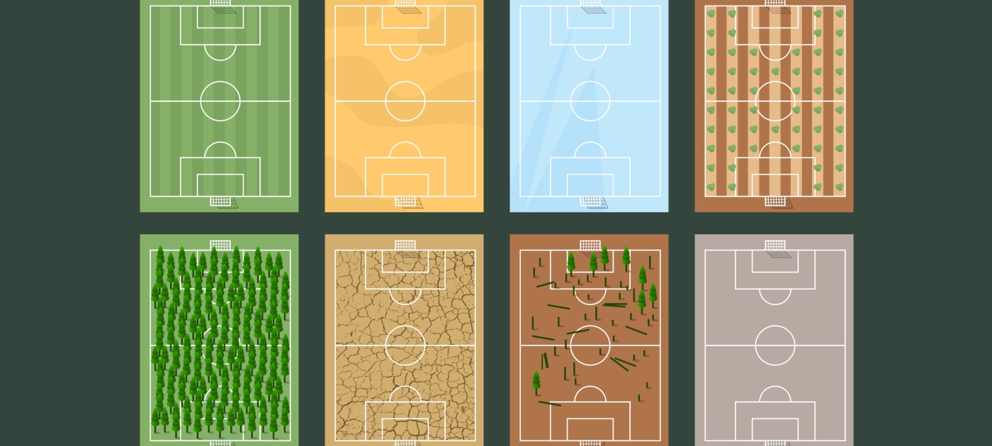 Earth has two football pitches of land for every human. Much of it is ailing. UNEP