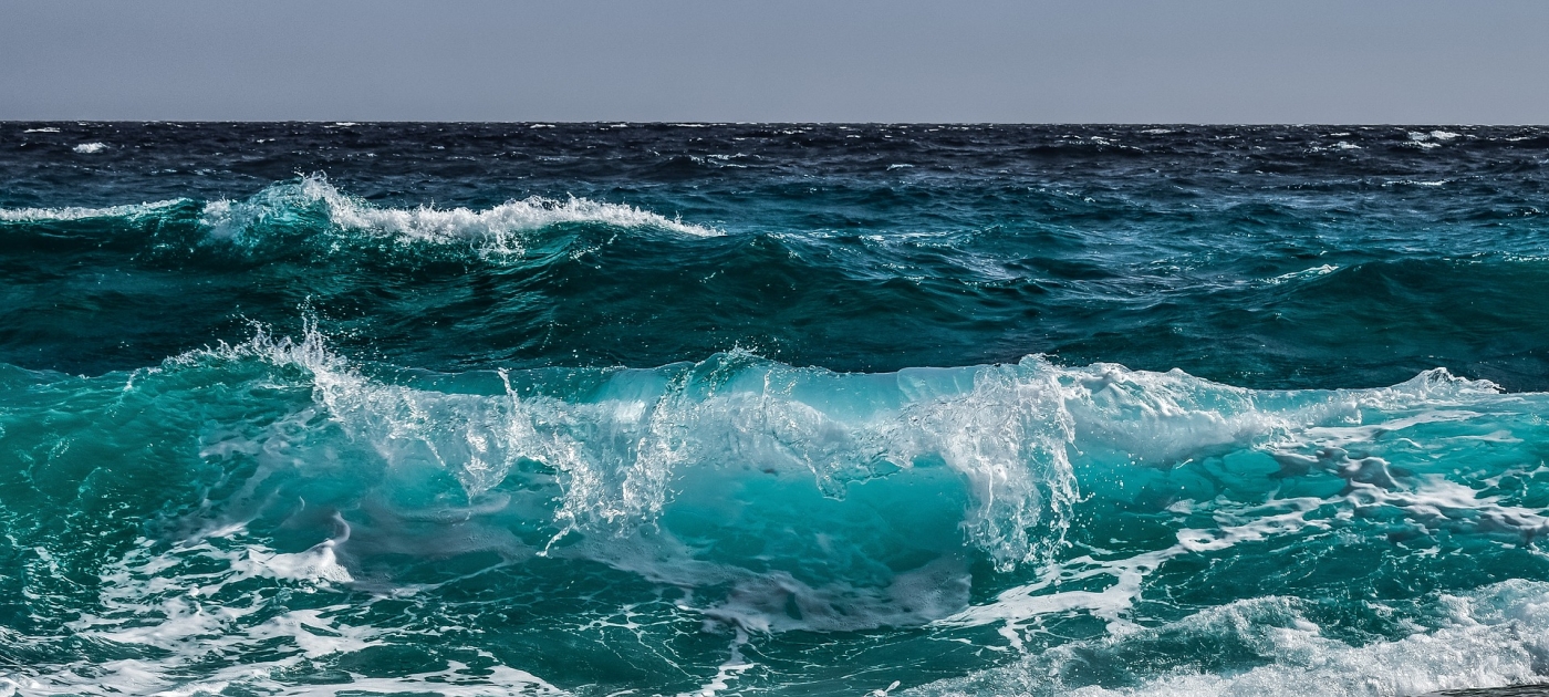 Image by Dimitris Vetsikas from Pixabay 