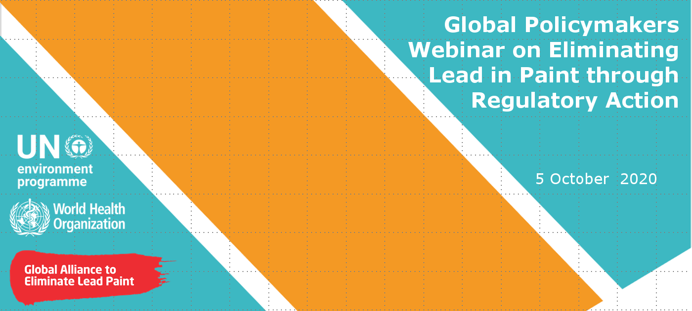 Global Policymakers Webinar on Eliminating Lead in Paint through Regulatory Action