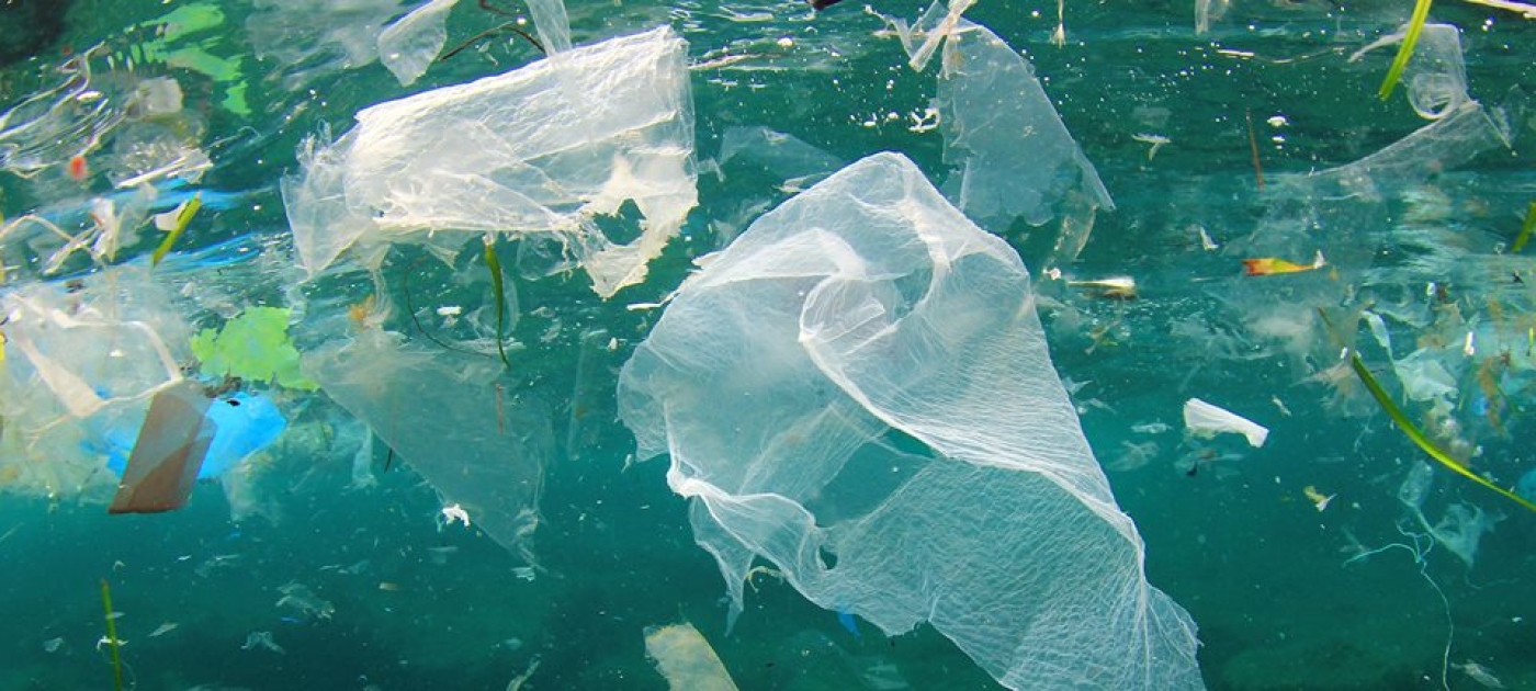 marine litter plastic