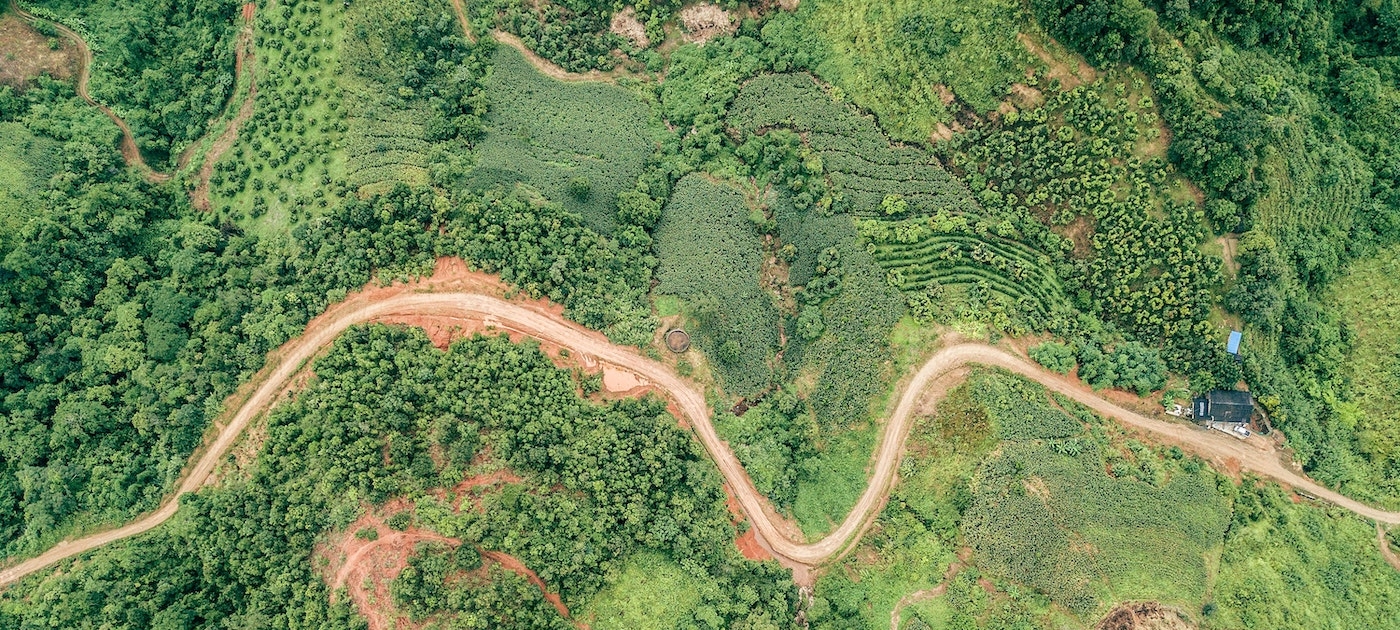Landscape