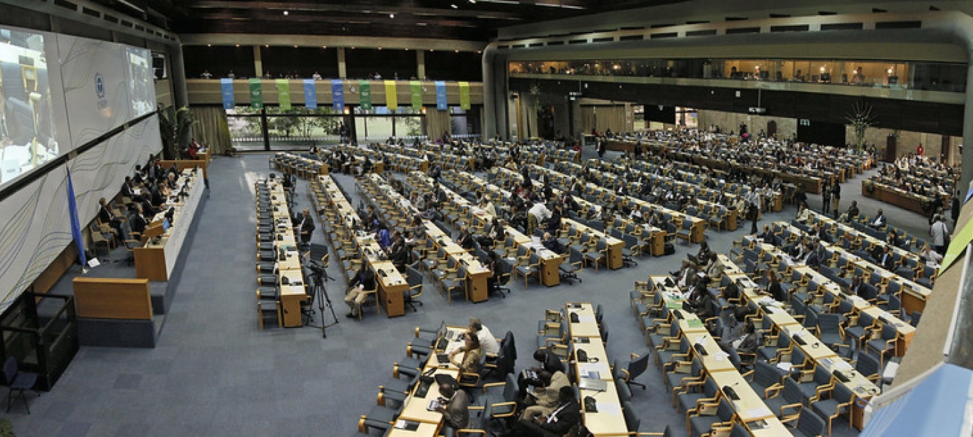 unea 1