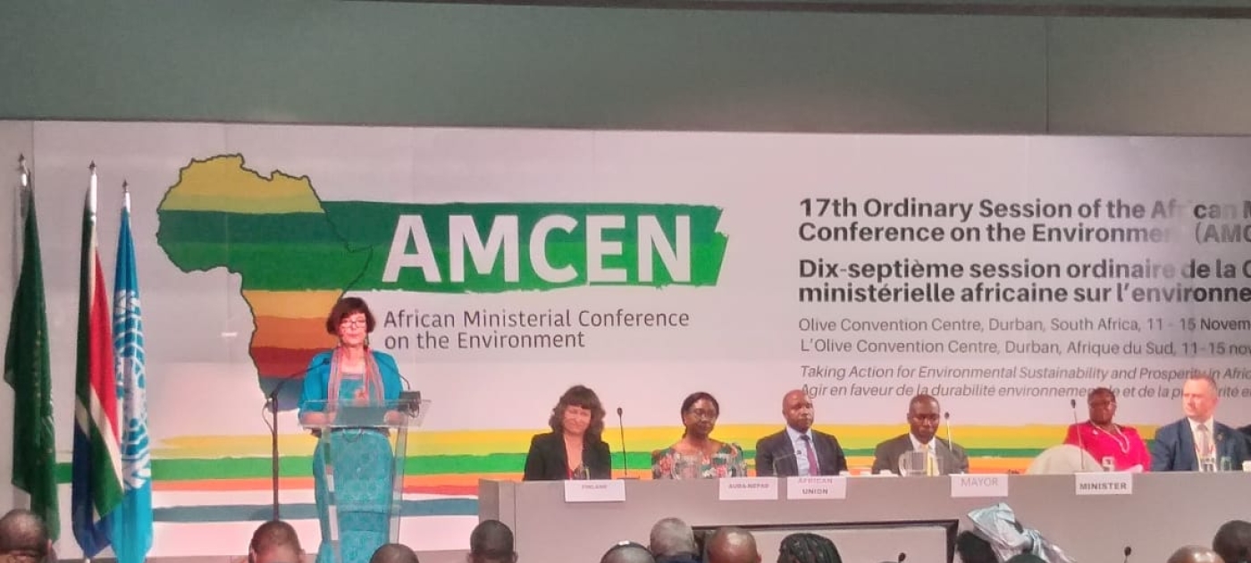 AMCEN session in South Africa