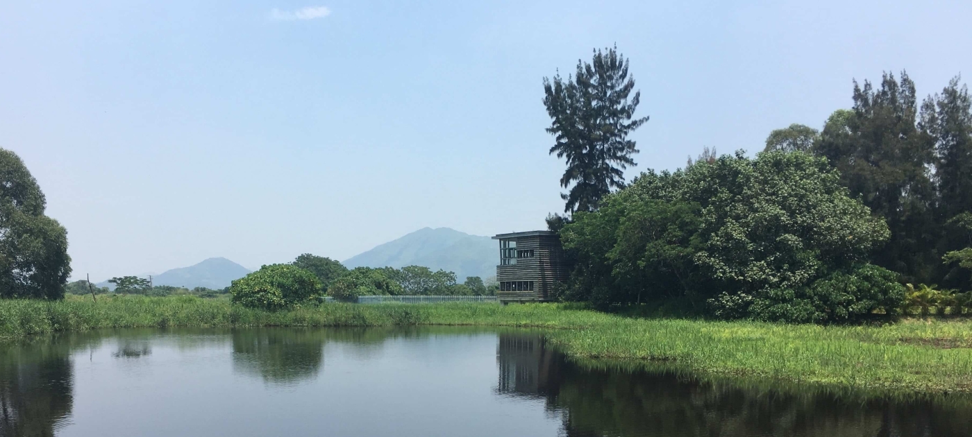 Nature-Based Solutions: Green Infrastructures for Wastewater Management