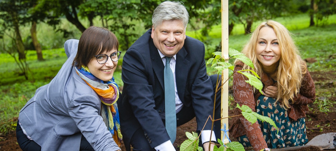 Planting Trees