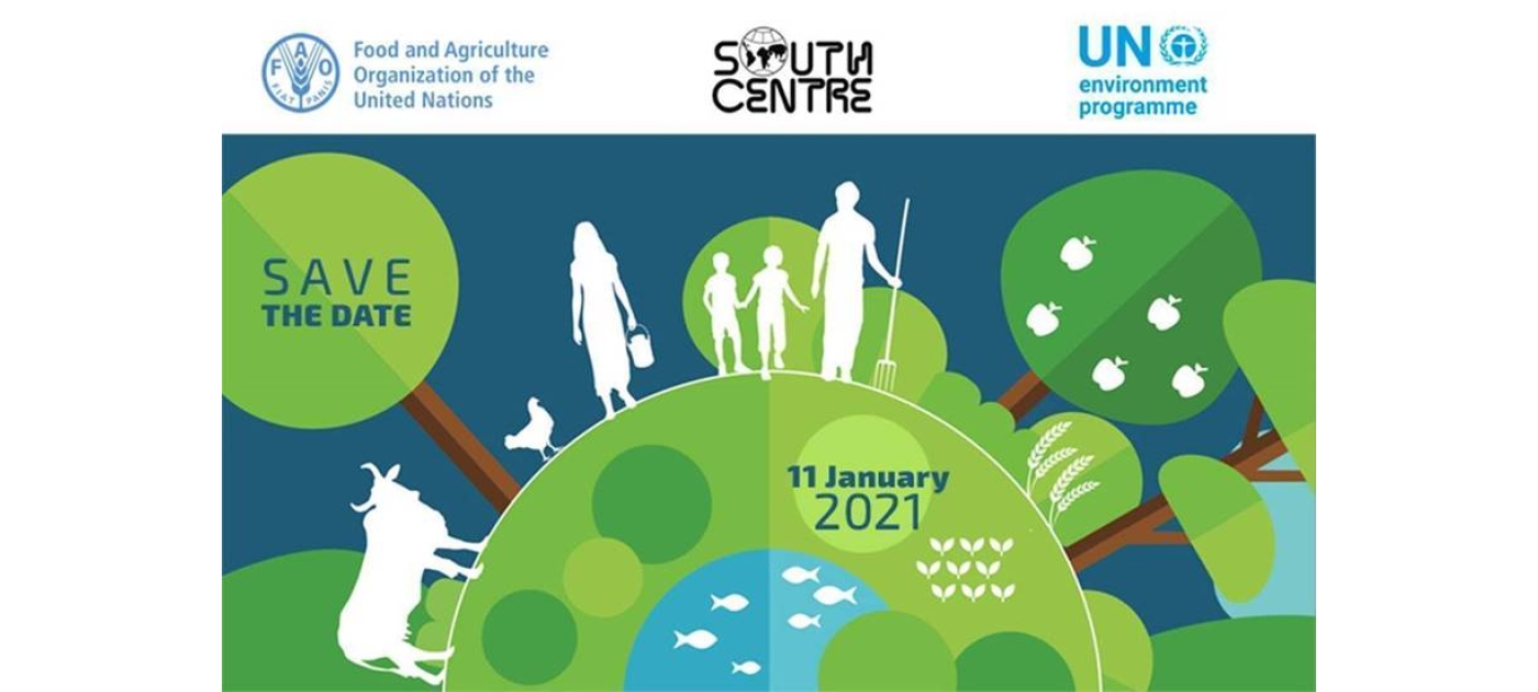 Advancing the One Health response to Antimicrobial Resistance (AMR)